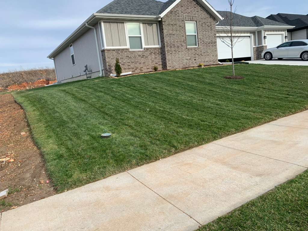 Full Lawn Renovation
