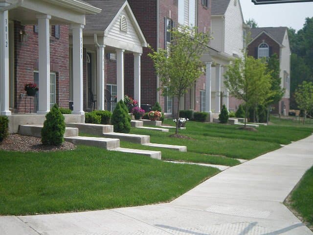 Backyard Sod Project