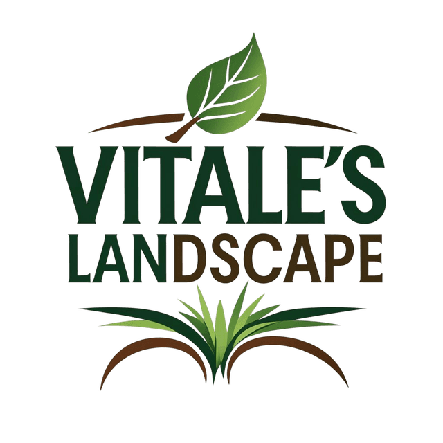 Vitale's Landscape