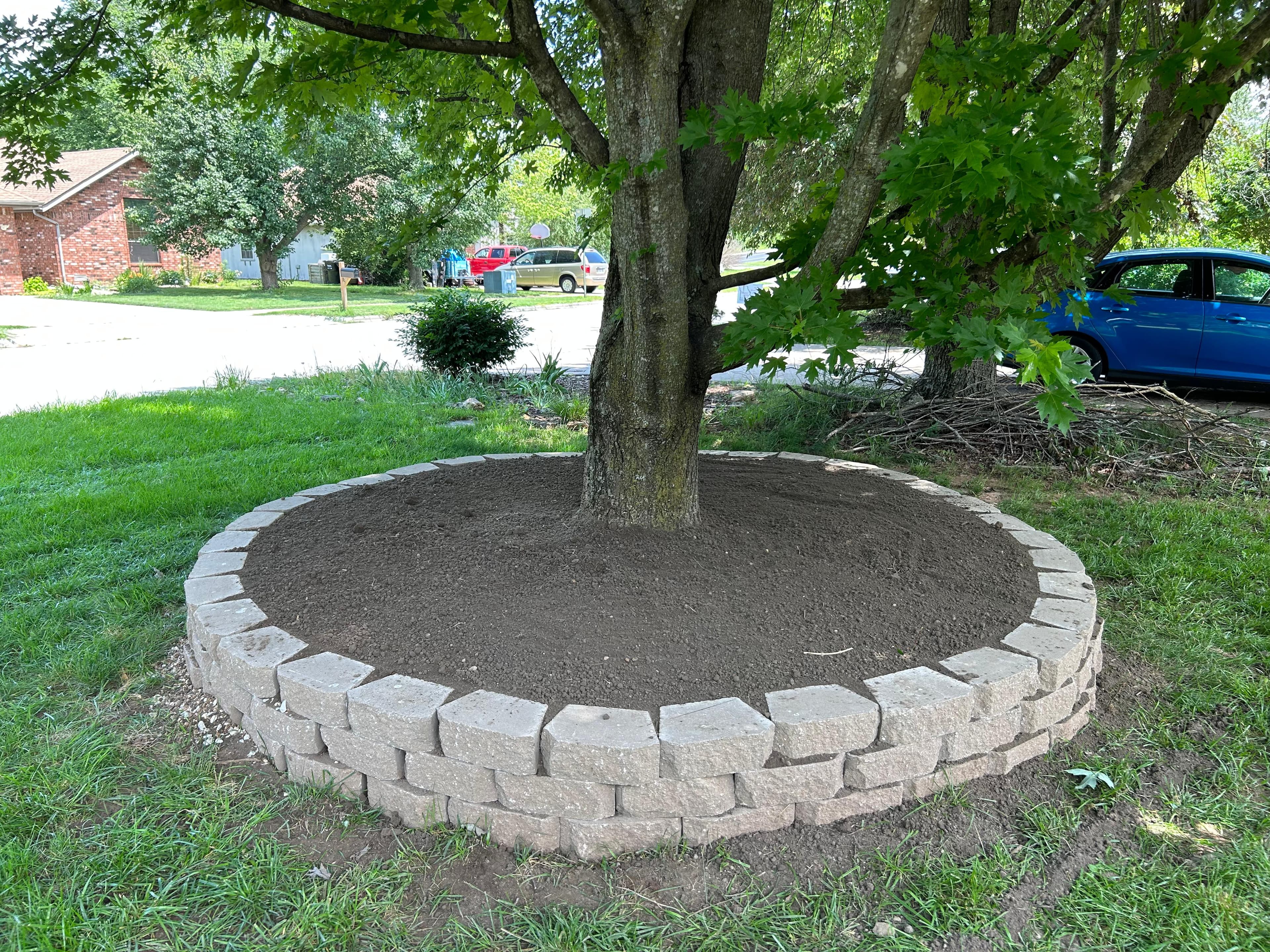 Lawn Fertilization & Weed Control